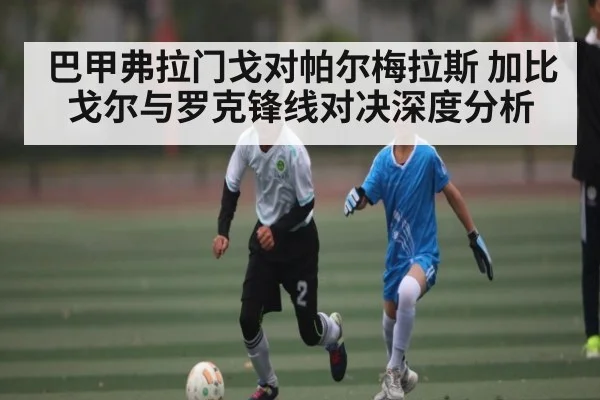 巴甲弗拉门戈对帕尔梅拉斯 加比戈尔与罗克锋线对决深度分析